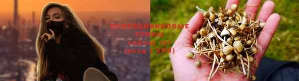 мефедрон Дмитровск