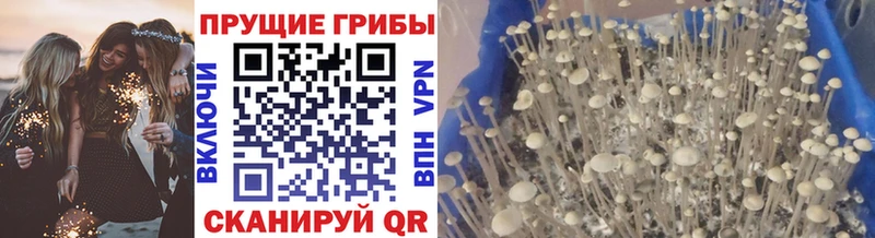 MEGA сайт  Михайлов  Галлюциногенные грибы прущие грибы 